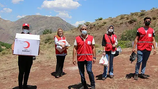 Mangal kömürü işçilerinin çadırda yaşamı başladı 'Bizim alnımızın teri ve mutluyuz'