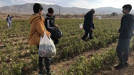 20 dönümlük sebze tarlasını vatandaşlara ücretsiz açtı