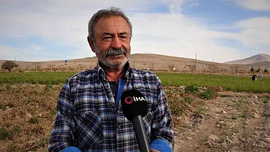 20 dönümlük sebze tarlasını vatandaşlara ücretsiz açtı