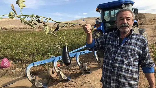 20 dönümlük sebze tarlasını vatandaşlara ücretsiz açtı