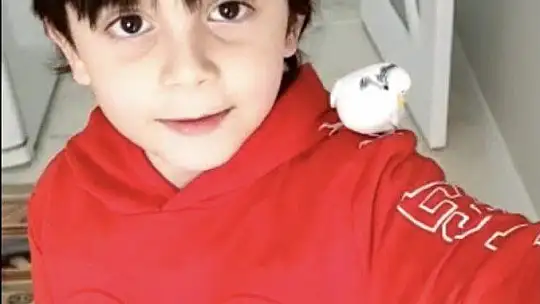 Mehmetçik muhabbet kuşunu bulup, küçük Doruk'a ulaştırdı