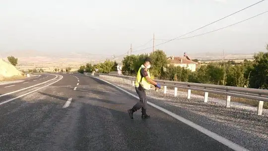Mehmetçik'ten kaplumbağa duyarlılığı...
