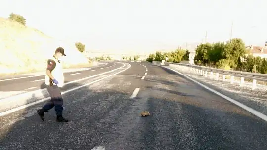 Mehmetçik'ten kaplumbağa duyarlılığı...
