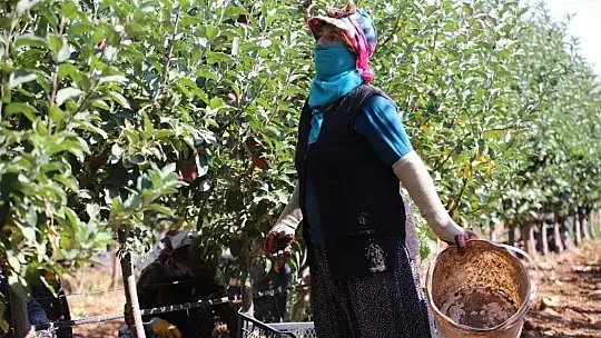 Memurluğu bıraktı, modern tarımla kendi işinin patronu oldu
