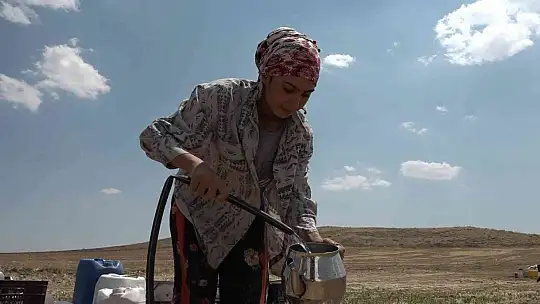 Mevsimlik işçi öğrencilerin büyük başarısı: Biri hukuk fakültesini kazandı, diğeri Türkiye ikincisi oldu