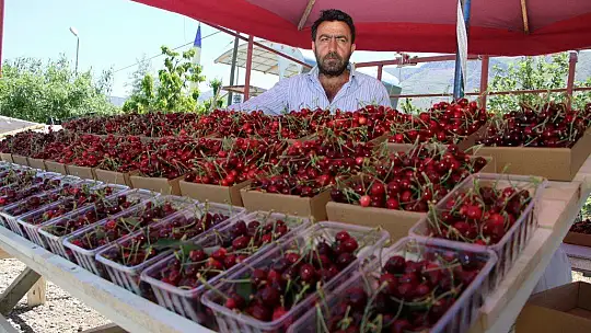 Mevsimlik işçilerden bayramda 'turfanda kirazı' hasadı