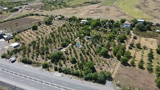 Mevsimlik işçilerden bayramda 'turfanda kirazı' hasadı