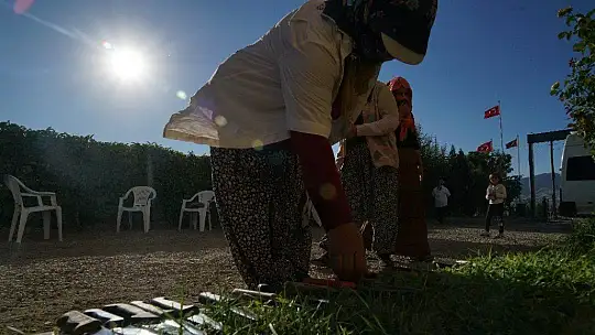Mevsimlik işçilerin güneşin altında zorlu mesaisi