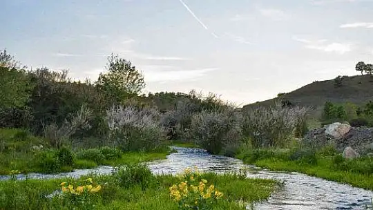 Mirvan Çayı