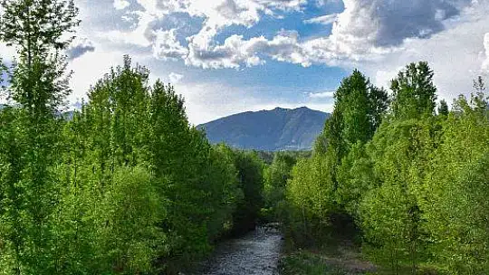 Mirvan Çayı