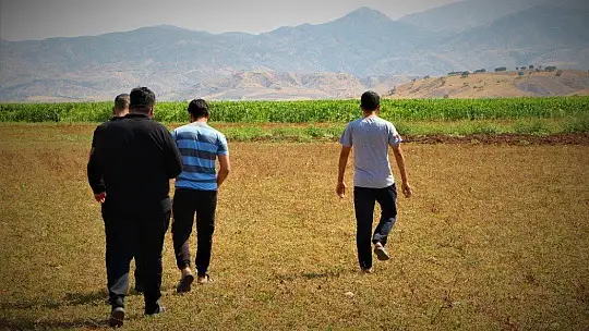 Murat Nehri'nde sular çekildi, tarım başladı