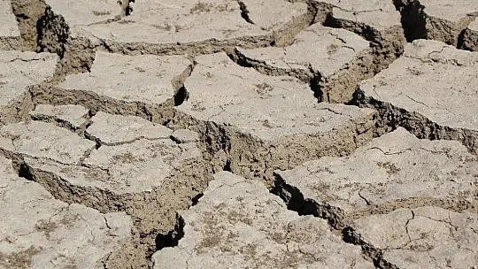 Murat Nehri'nde sular çekildi, tarım başladı