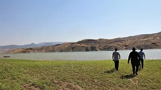 Murat Nehri'nde sular çekildi, tarım başladı