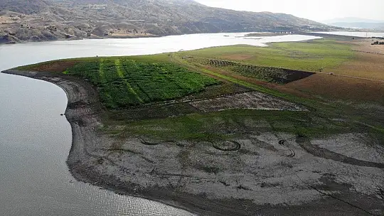 Murat Nehri'nde sular çekildi, tarım başladı