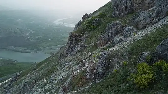 Nesli tükenme altındaki dağ keçileri, Palu Kalesi'nde dronla görüntülendi