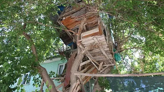 Nusret dede, Covid-19'dan ağaç evi ile korunuyor