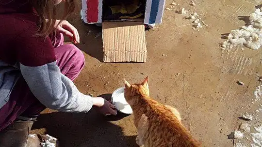 Öğrenciler 'Şimdi Sıra Sende' projesiyle etkinlikler yaptı