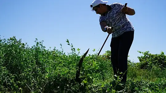Okul Destek Projesiyle tanıştı, LGS'den 464 puan alarak Fen lisesine yerleşti