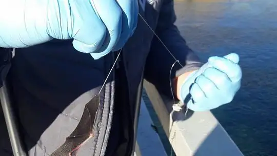 Oltaya balık yerine yarasa takıldı, görenler şaşkına döndü