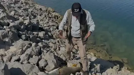 Oltaya takılan 35 kiloluk dev turna balığını kucaklamak istedi, verdiği tepki gülümsetti