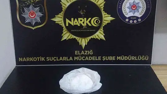 Önce ekipler, ardından dedektör köpeği 'Alex' uyuşturucu tacirlerine geçit vermedi