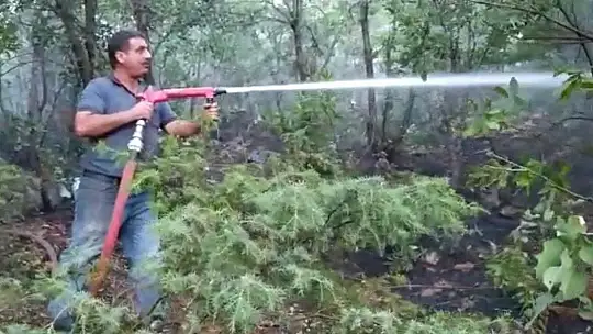 Orman yangınını söndürme çalışmaları çok sayıda ekiple sürüyor