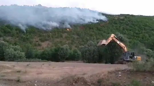 Orman yangınını söndürme çalışmaları çok sayıda ekiple sürüyor