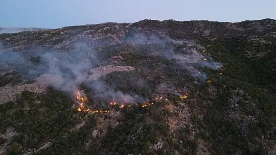 Orman yangınını söndürme çalışmaları çok sayıda ekiple sürüyor