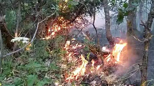Orman yangınını söndürme çalışmaları çok sayıda ekiple sürüyor