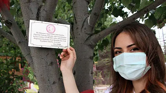 Ormancı babadan örnek uygulama