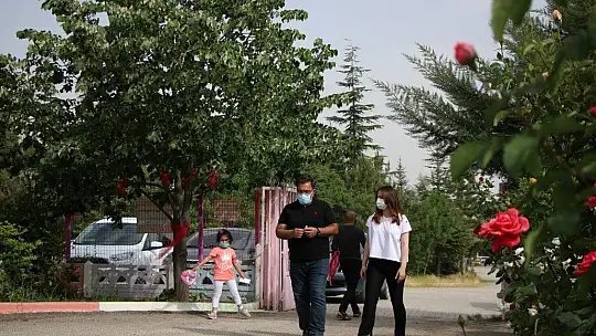 Ormancı babadan örnek uygulama