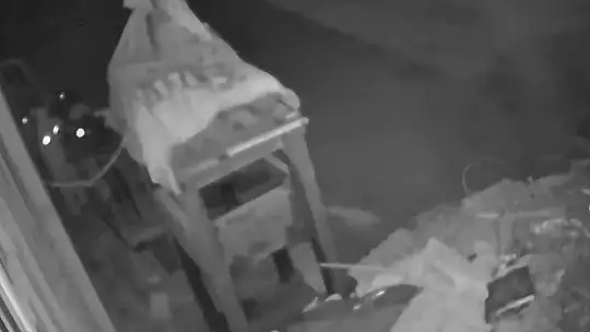 Örümcek adam gibi hırsızlar