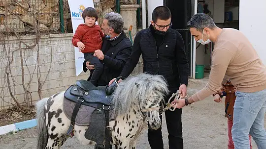 Otizmli çocuklar, duyu odaları ve atla terapiyle hayata hazırlanıyor