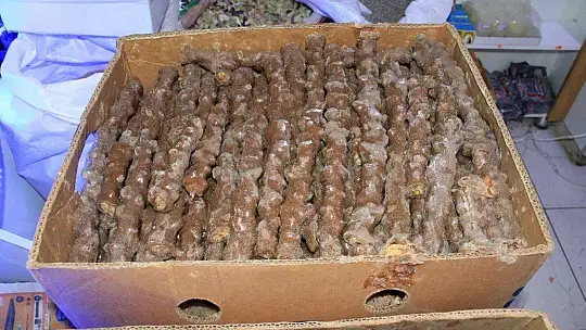 Pandemiden etkilenen Kapalı Çarşı esnafı, çözümü online satışta buldu