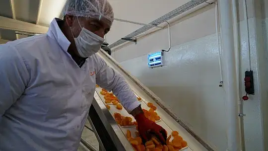 Pilotluğu bıraktı, devlet desteğiyle kendi işinin patronu oldu