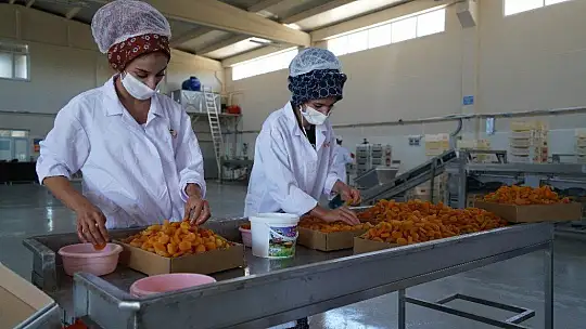 Pilotluğu bıraktı, devlet desteğiyle kendi işinin patronu oldu
