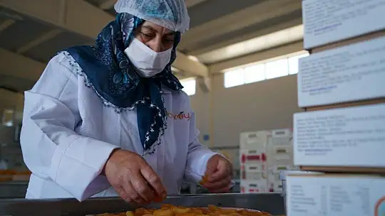 Pilotluğu bıraktı, devlet desteğiyle kendi işinin patronu oldu