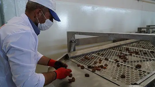 Pilotluğu bıraktı, devlet desteğiyle kendi işinin patronu oldu