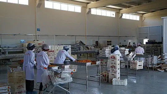 Pilotluğu bıraktı, devlet desteğiyle kendi işinin patronu oldu