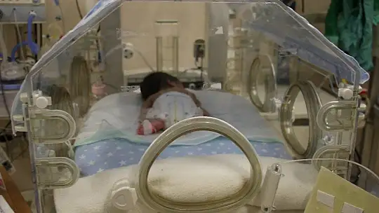 Prematüre bebeklere 'anne şefkati' ile bakıyorlar