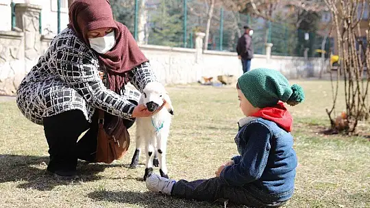 Sahiplendiği Kuzu, Hem Evinin Neşesi, Hem de Terapisi Oldu