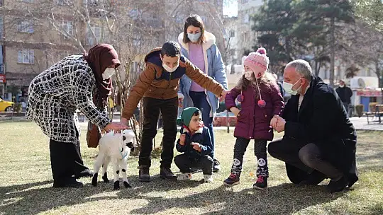 Sahiplendiği Kuzu, Hem Evinin Neşesi, Hem de Terapisi Oldu