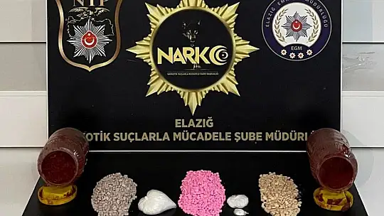 Salca bidonu içinde uyuşturucu sevkiyatı 'Nina'dan kaçmadı: 2 gözaltı