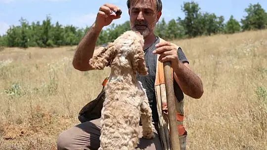 Şehir şehir gezerek köpeğiyle 'kara elmas' arıyor