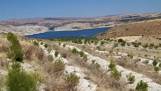 Şehit oğlunun anısına, 2 bin 500 fidanla orman oluşturdu