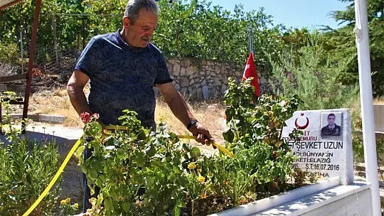 Şehit oğlunun anısına, 2 bin 500 fidanla orman oluşturdu
