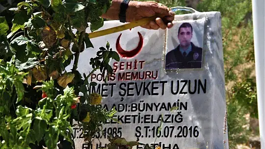 Şehit oğlunun anısına, 2 bin 500 fidanla orman oluşturdu