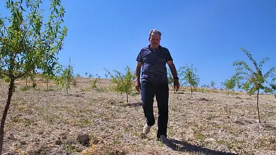 Şehit oğlunun anısına, 2 bin 500 fidanla orman oluşturdu
