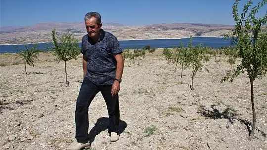 Şehit oğlunun anısına, 2 bin 500 fidanla orman oluşturdu