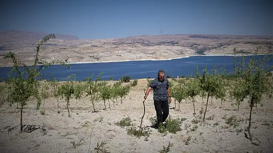 Şehit oğlunun anısına, 2 bin 500 fidanla orman oluşturdu